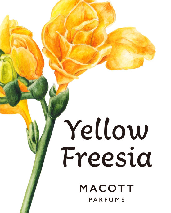 調香師の香水手帖 “Yellow Freesia” | antianti ラボ便り 