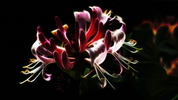 ツインレイ 悪女を愛した男 サムソンとデリラ ツインレイ ドリームワーク 夢の力に導かれて本当の自分に たどりつく