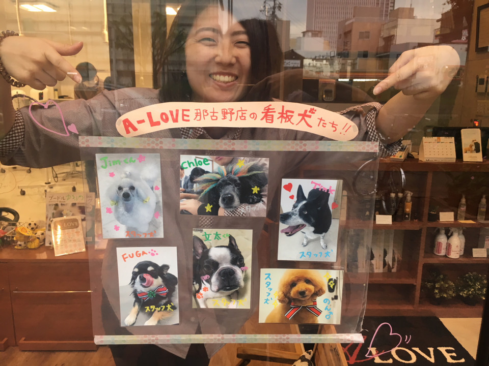 那古野店 はじめまして Dog Salon Hotel A Love Official Blog