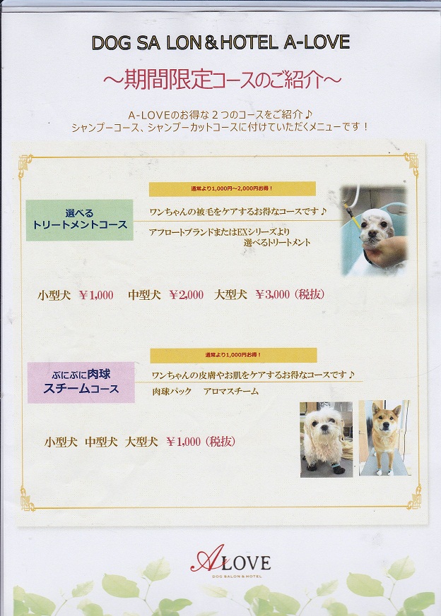 八乙女店期間限定コースのご案内 Dog Salon Hotel A Love Official Blog