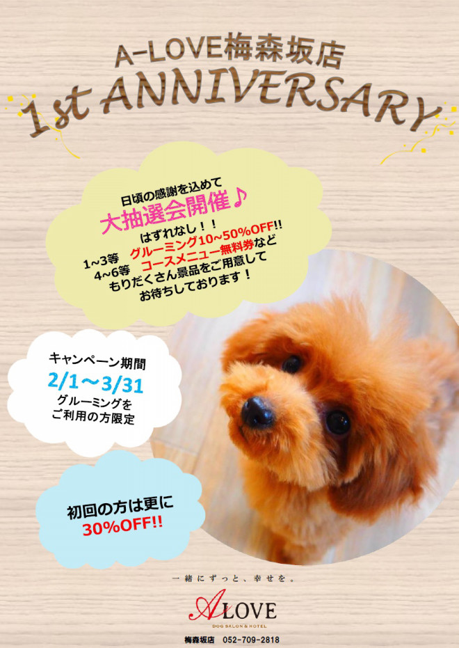 梅森坂店オープン１周年記念イベント開催中 Dog Salon Hotel A Love Official Blog