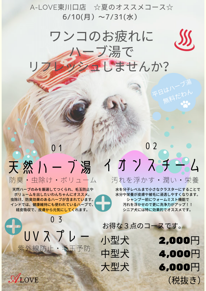 ワンコのお疲れにハーブ湯でリフレッシュしませんか Dog Salon Hotel A Love Official Blog