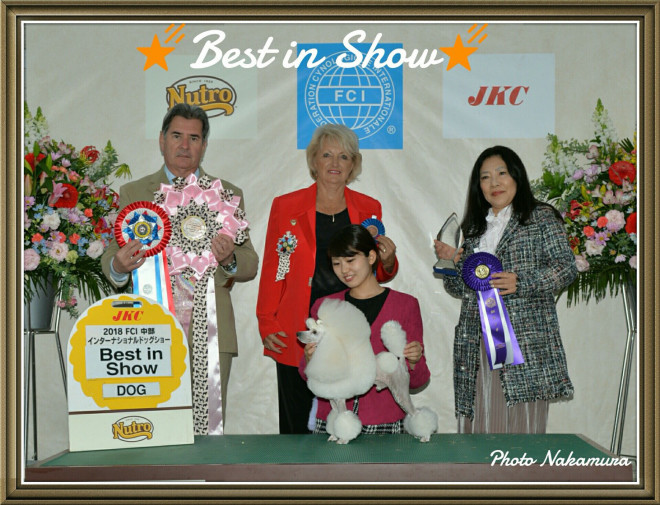 那古野店 はじめまして Dog Salon Hotel A Love Official Blog