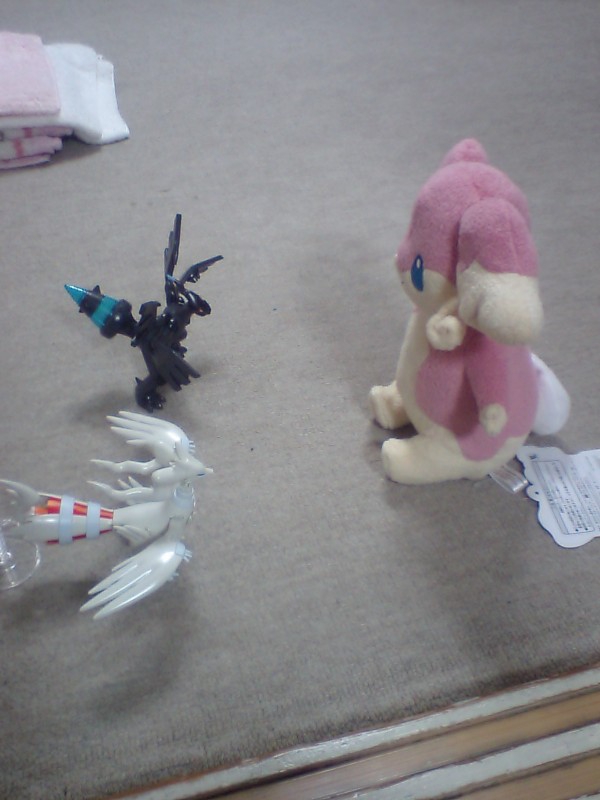 レシラム　セット No.13+No.14 レシラム＆ゼクロムセット | タガネのポケプラ