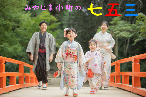 七五三 7歳着物 週末セール 鳥の巣
