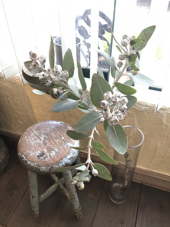 早朝５時からオープン 沖縄県読谷村都屋 Nicaru ニカル 美容室