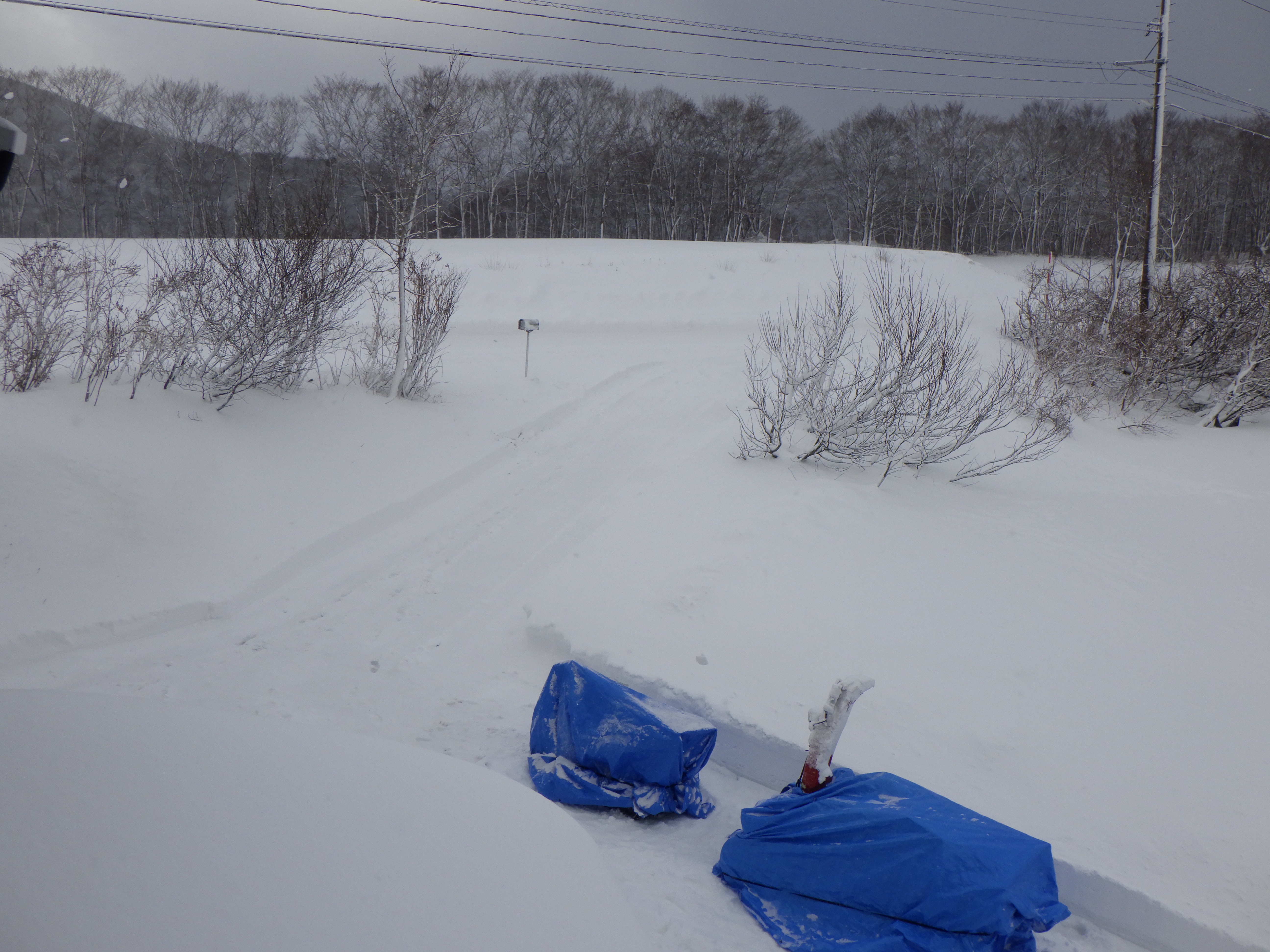 ”凍る月” 120308: 下弦の月（月齢 21.8） by Condor57 - 天体写真ギャラリー