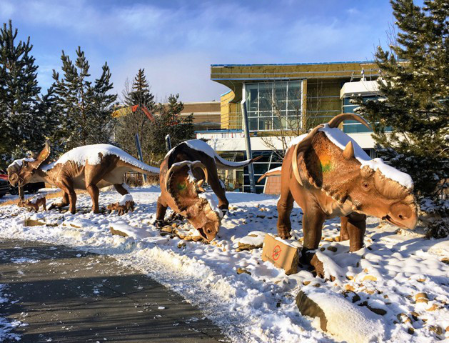 冬期間こそロイヤルティレル博物館の恐竜展示を観に行くべし Canadian Heartland Tours Inc