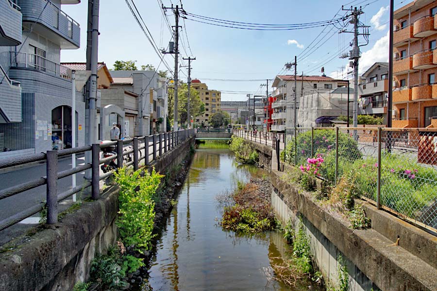 隅田川 隅田川周辺ウォーキング・前編 ～街歩き散歩コース