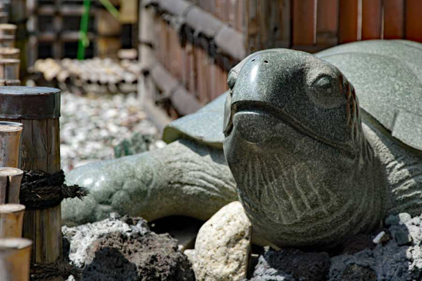 亀の像 Turtle Statue かつしかあつめ ブログ Blog Of Katsushika Garner