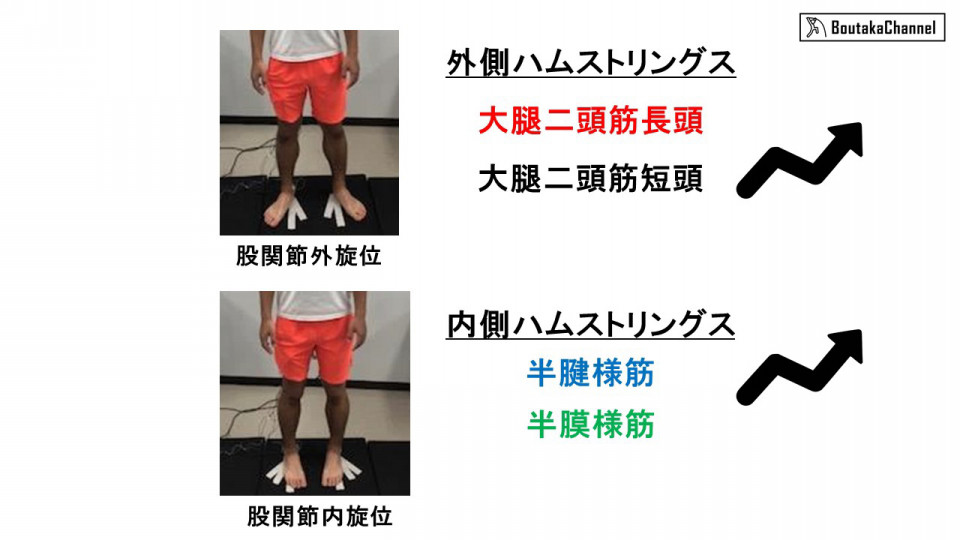 もうハムストリングスの肉離れはしたくない 効果的な予防法とは 2 2 各筋を選択的に強化するためのエクササイズの選択 Boutaka Channel