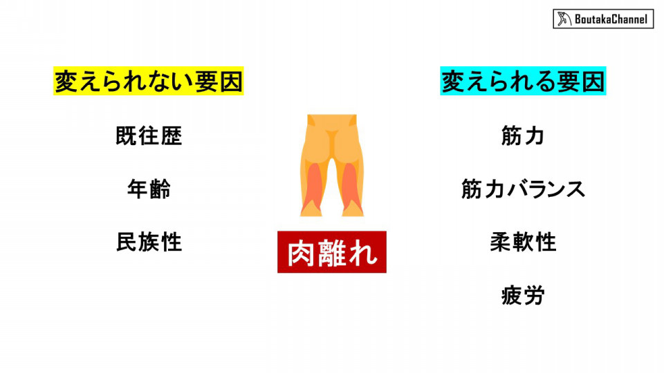 もうハムストリングスの肉離れはしたくない 効果的な予防法とは 1 メカニズムと要因について Boutaka Channel もうハムストリングスの肉離れはしたくない 効果的な予防法とは 1 メカニズムと要因について Boutaka Channel