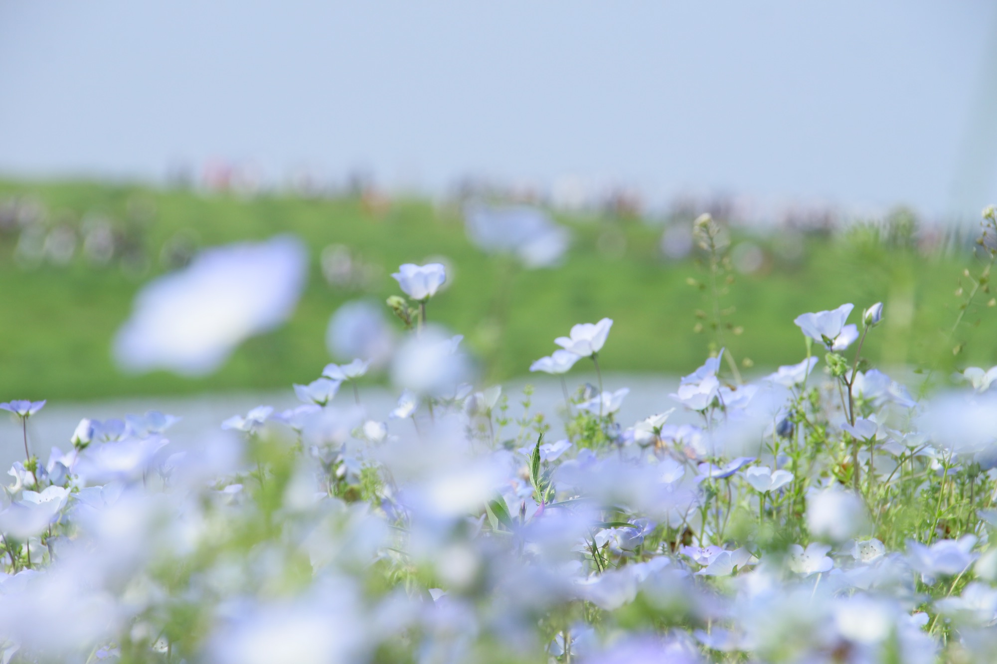 メイク難民に贈る 整理