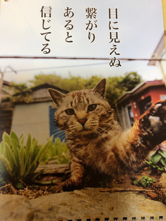 8月猫川柳 運命学研究家 Yoshimi Shirato 8月猫川柳 運命学研究家 Yoshimi Shirato