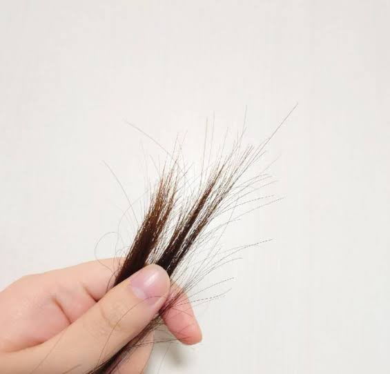 枝毛✄ | 『PEPPU-TOKYO-公式WEB SITE』