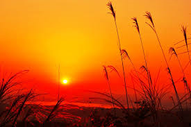 夢十夜・第七夜から読み解く `秋の夕暮れ` | 幸せってなんだろ？