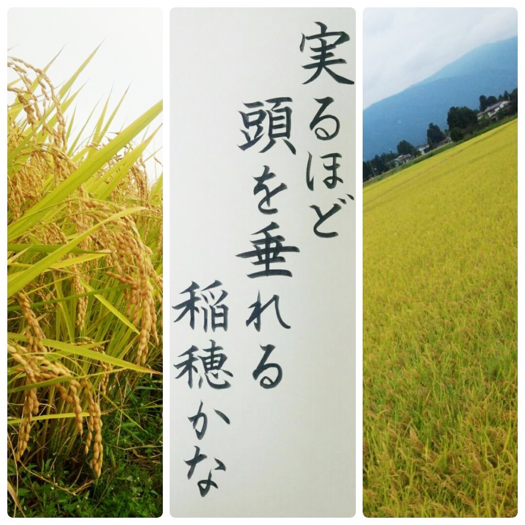 秋は実りの季節 忙しい女性にも習える書道を目指して