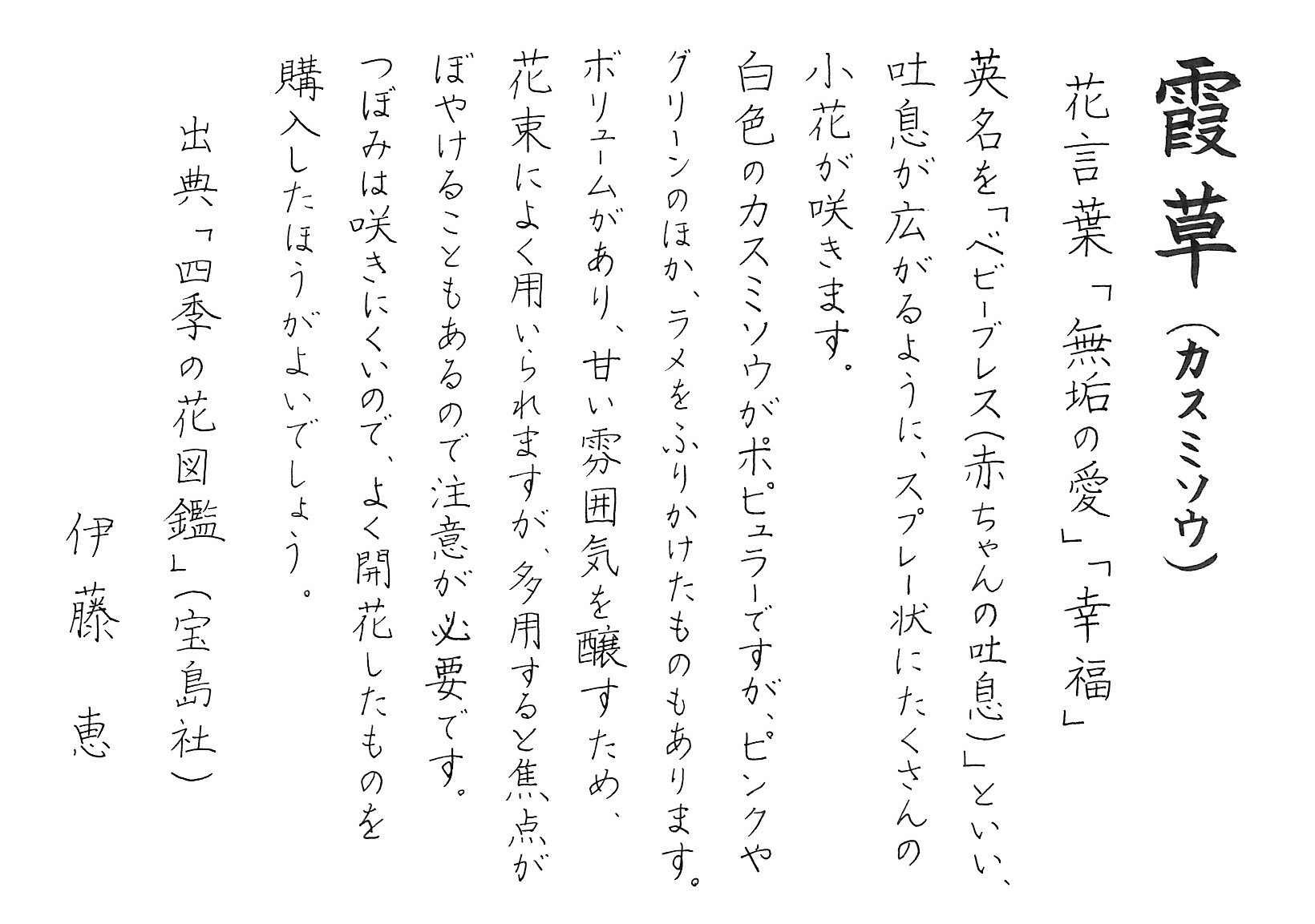 霞草 カスミソウ 忙しい女性にも習える書道を目指して