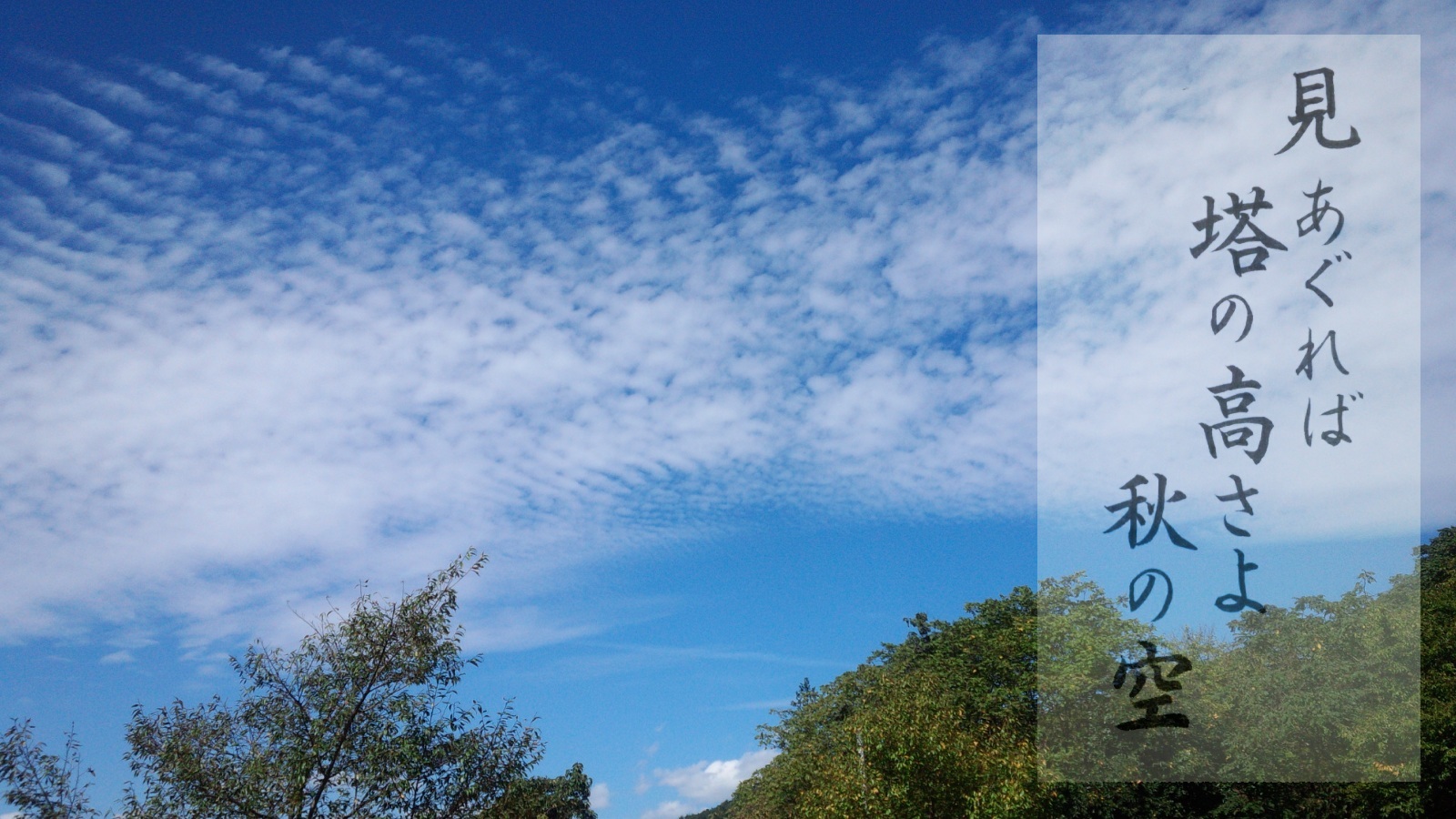 秋の空 忙しい女性にも習える書道を目指して