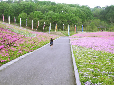 市貝町 芝ざくら公園 Nahki Blog