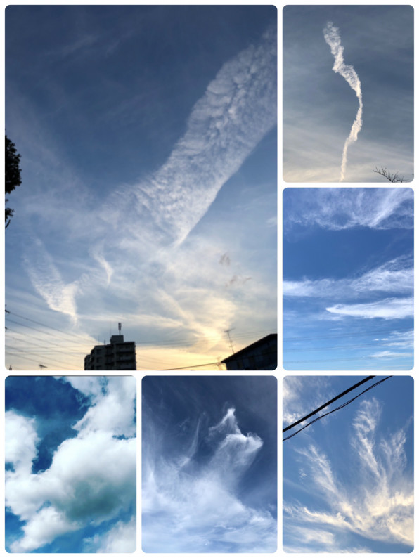 並木 良和 秋分 の 日