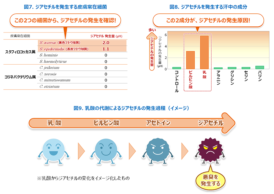 ムコセチルのリーフレット