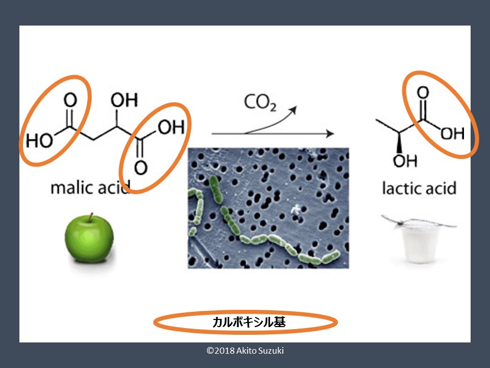 マロラクティック発酵（MLF）の基本 | ワイン・ブログ 情熱と