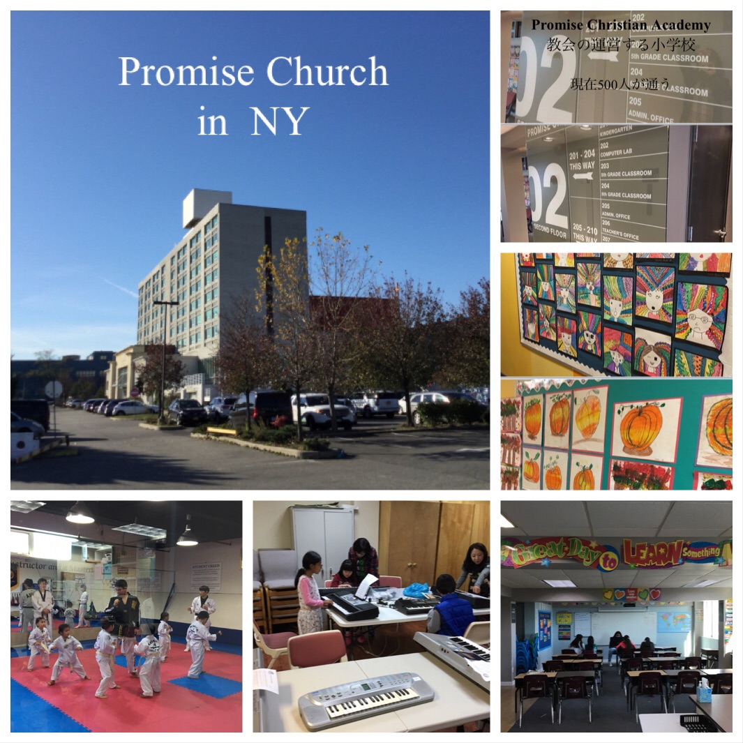 Promise Academy in NY Promise Academy Kids English