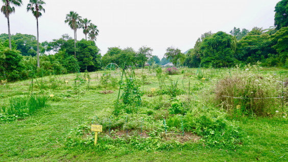 畑の寺子屋 Note Farm