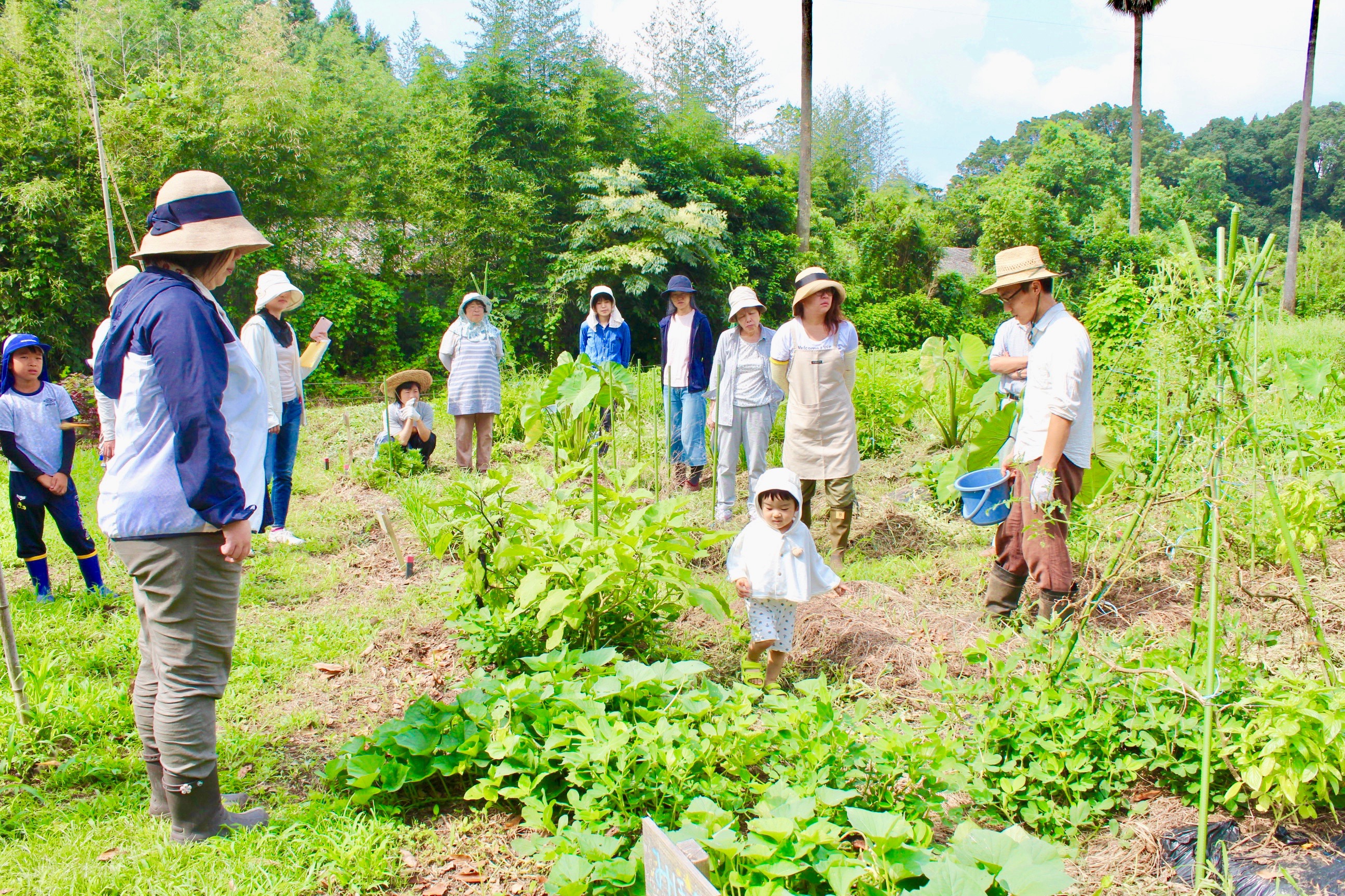 保水性と排水性を両立する理想の土の状態とは？ | NOTE FARM