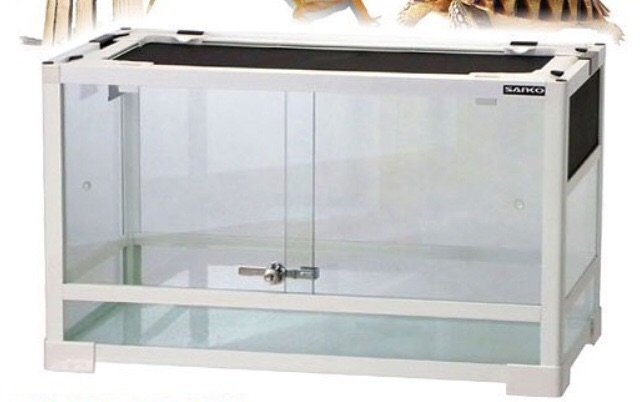 フトアゴヒゲトカゲ飼育　爬虫類飼育ケージ フトアゴヒゲトカゲ(アダルト)飼育方法 | 爬虫類ノート