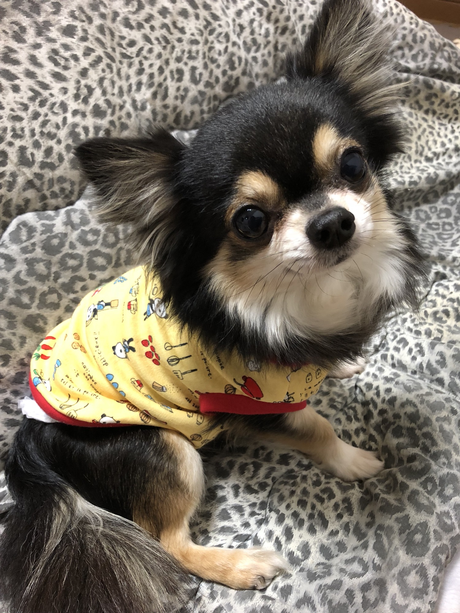 犬服ハンドメイド　タンクトップ(Mahina) ハンドメイド❤︎犬服 パンダ柄のタンクトップ | Mahina〜マヒナ〜