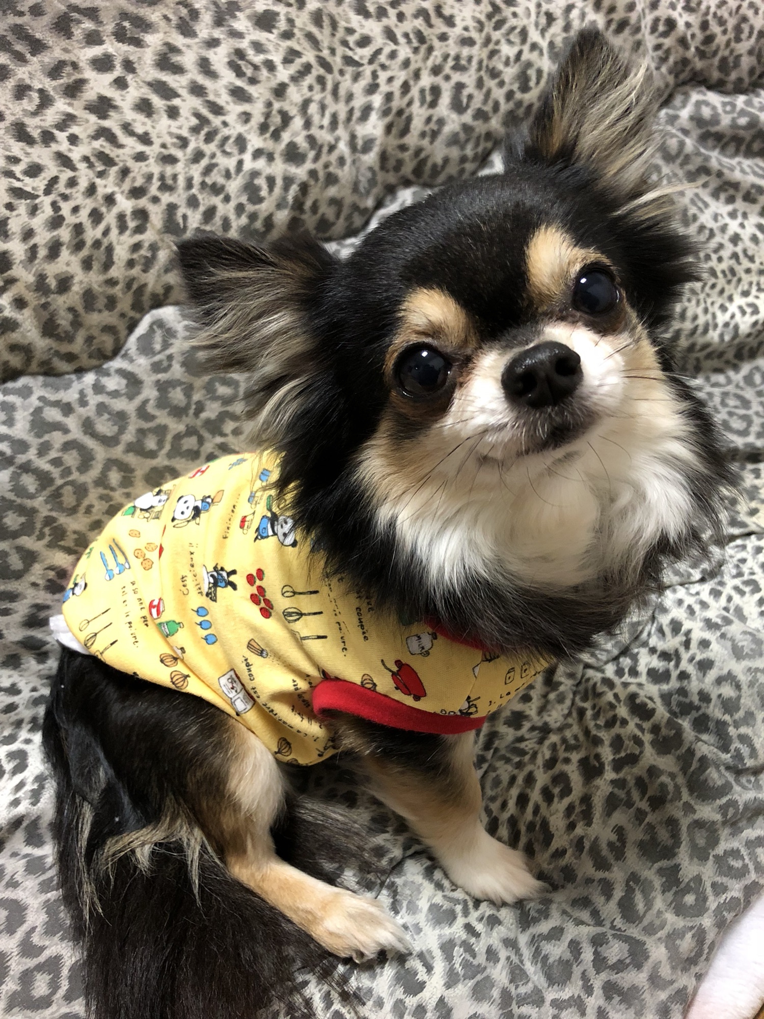 犬服ハンドメイド　タンクトップ(Mahina) ハンドメイド❤︎犬服 パンダ柄のタンクトップ | Mahina〜マヒナ〜