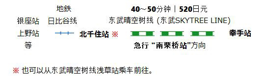 樱花与油菜花 权现堂堤 东京近郊 3月底 4月初旬 日本深度游