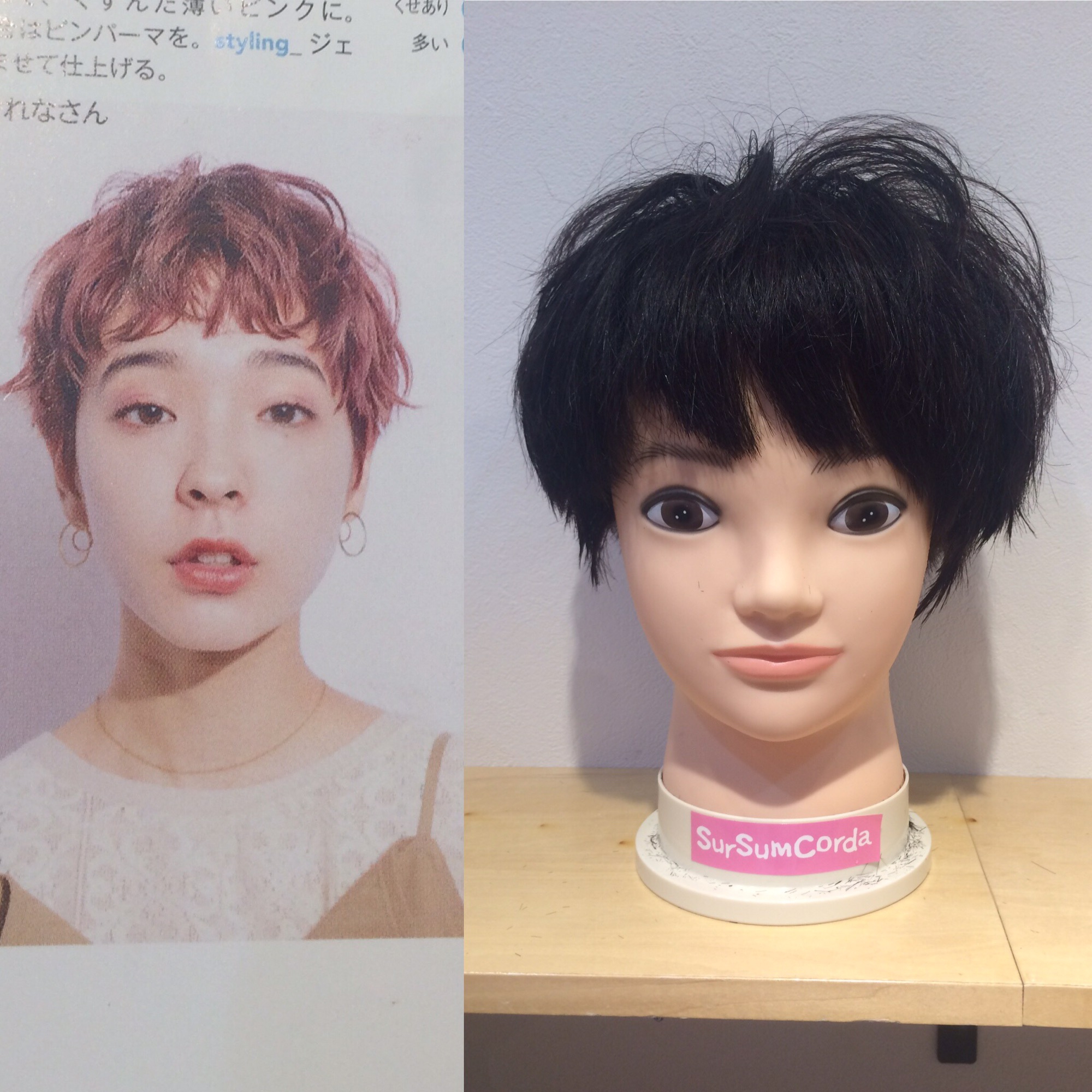 スタイルコピー カットの練習 カットレッスン レイヤーカット 展開図が浮かぶ 安いから通いやすい カット講習のスルスムカット