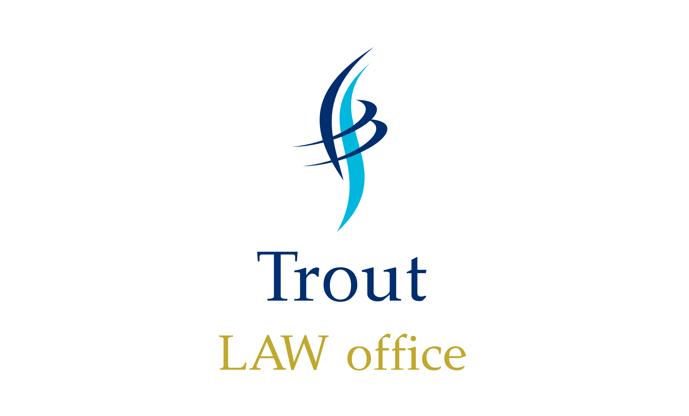 事前求償債権を被保全権利とする保全処分 | トラウト法律事務所