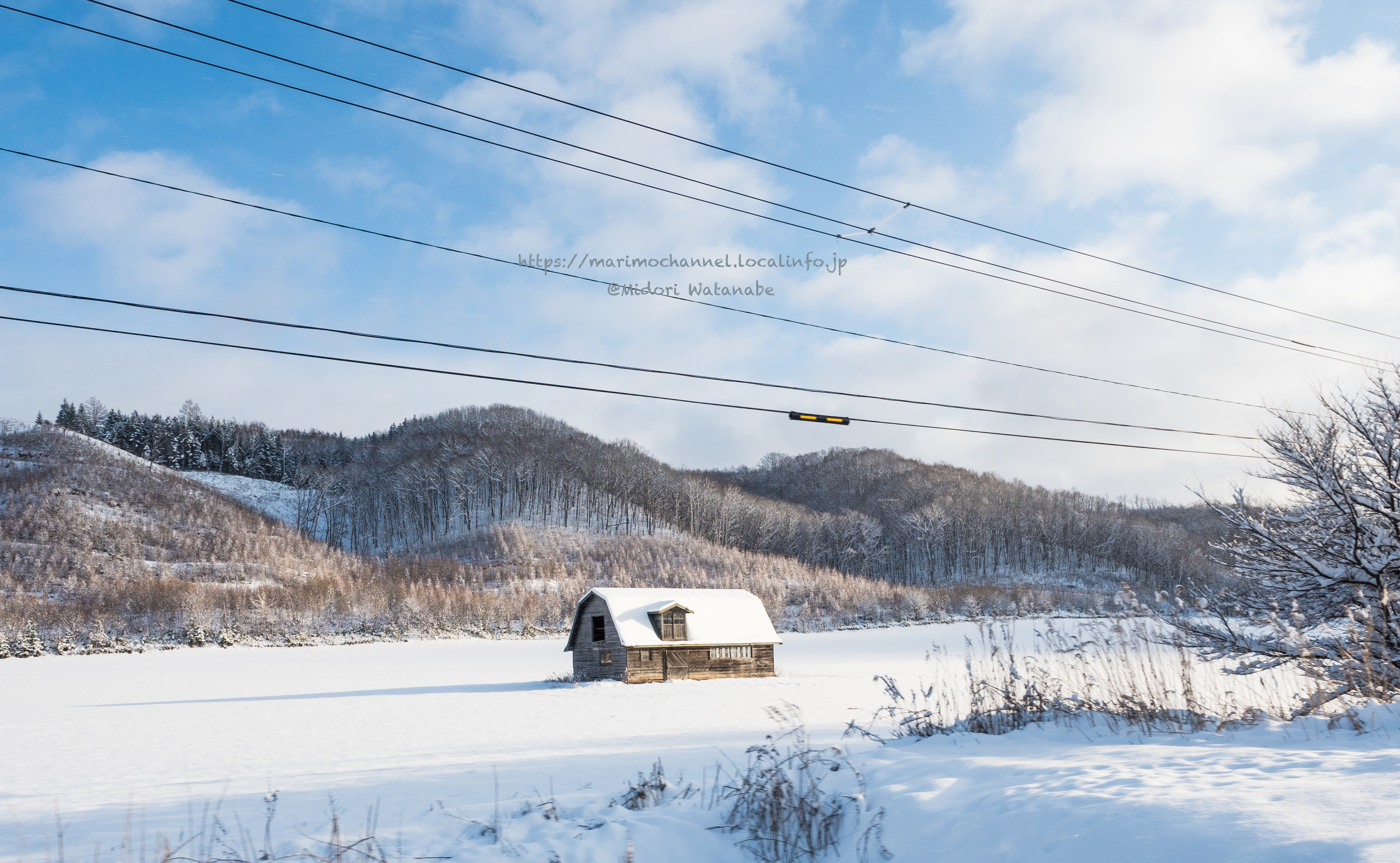 北海道 国道240号線 雪景色車窓から | 道東 『写』暮らし