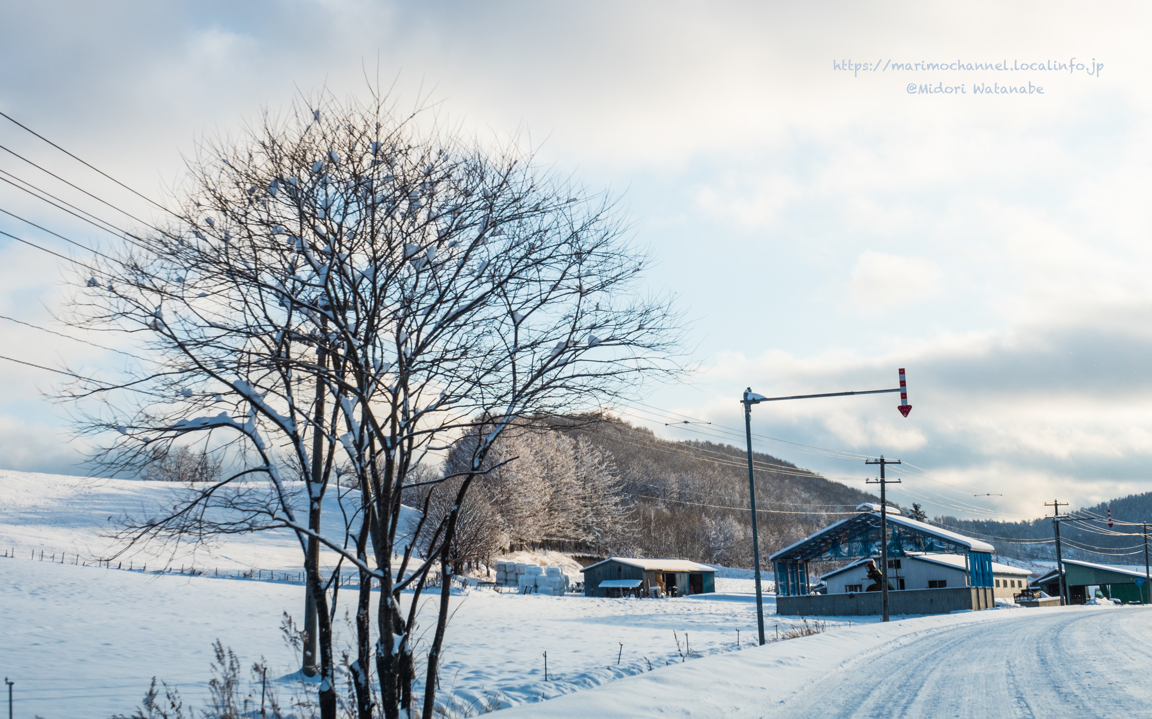 雪景 82e19d2c66dcb60f9019024bd62f46