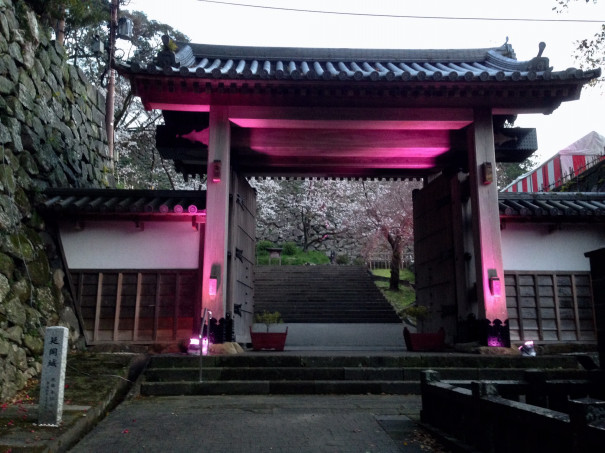 ３月26日 延岡市 延岡城跡 城山公園の夜桜とプロジェクションマッピングを鑑賞するの巻 キャンピングカーで日本一周