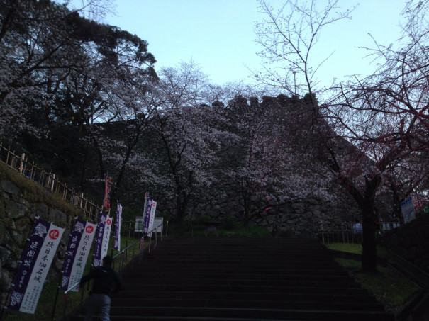 ３月26日 延岡市 延岡城跡 城山公園の夜桜とプロジェクションマッピングを鑑賞するの巻 キャンピングカーで日本一周