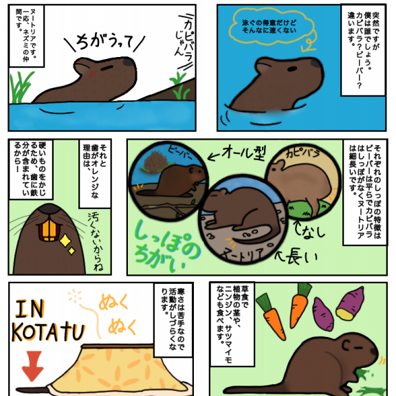 足もとの自然から始めよう 足もとの自然から始めよう / ソベル