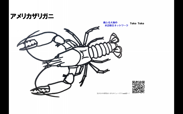 手書き水墨画　ザリガニ 076c9a611cb48c7ac666feea20089c