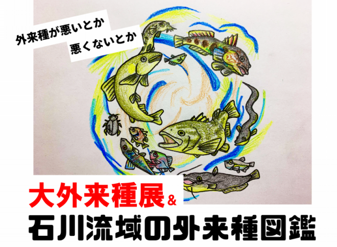 外来種が悪いとか 悪くないとか 公式 石川流域生きものミュージアム 雨ふる大地の水辺保全ネットワーク