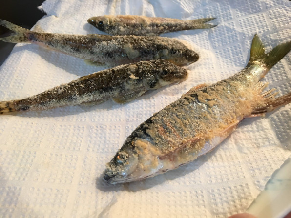 川魚 料理入門 まずは 素揚げ 雨ふる大地の水辺保全ネットワーク