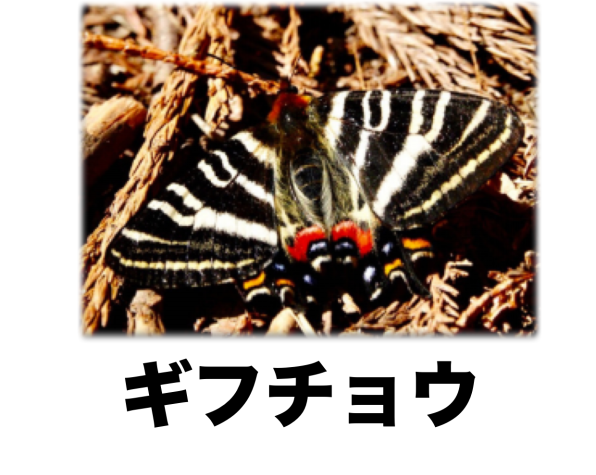 1f9164e6d16e7a2cdf929c92cf9da2