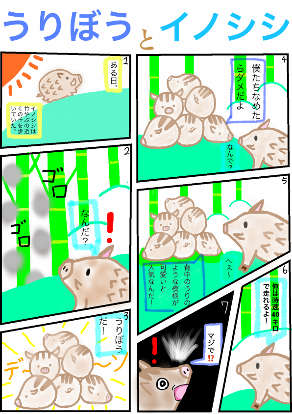 うりぼう と イノシシ 生きもの漫画 公式 石川流域生きものミュージアム 雨ふる大地の水辺保全ネットワーク