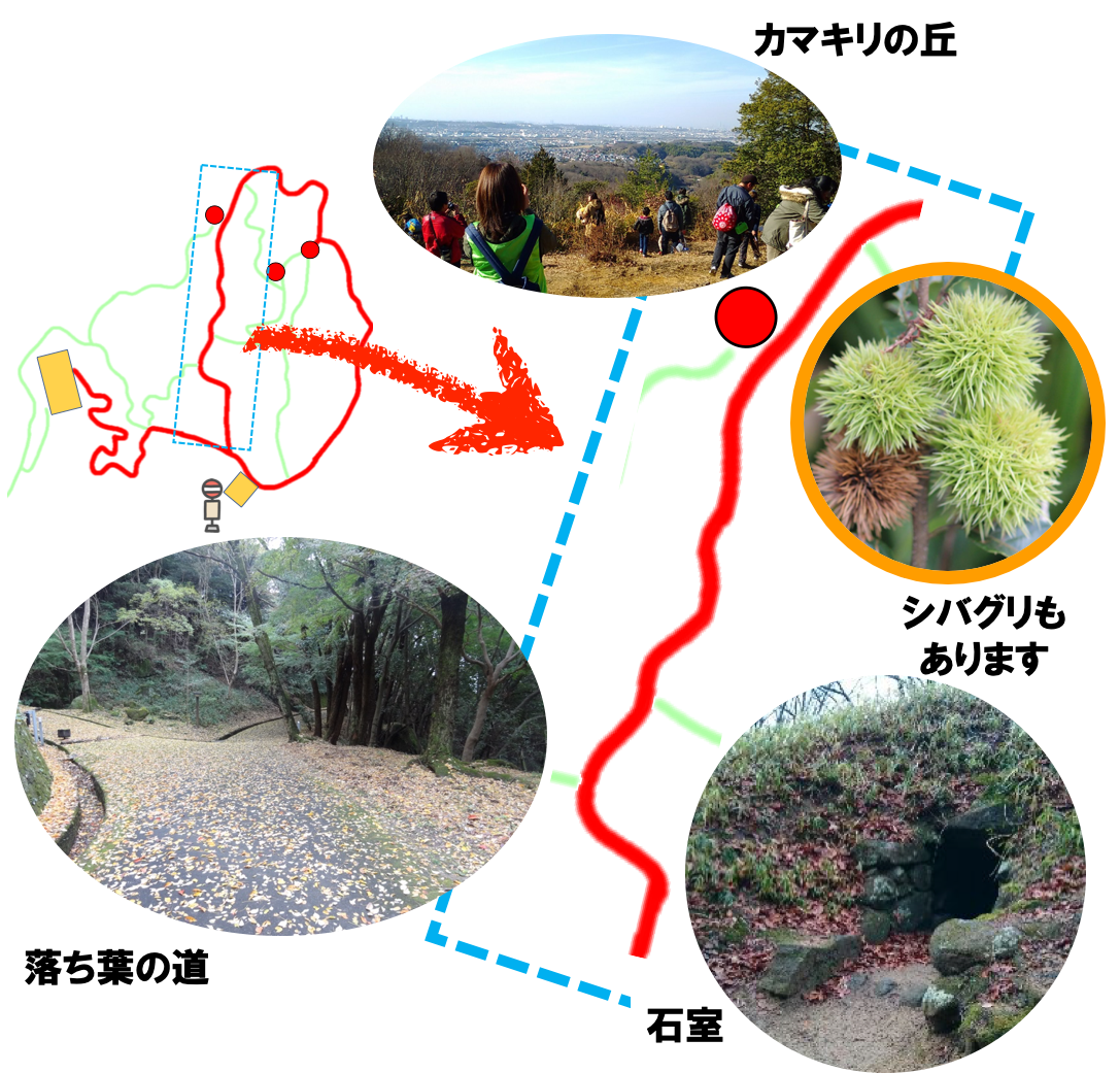 近つ飛鳥風土記の丘 トイレ 管理棟まで 公式 石川流域生きものミュージアム 雨ふる大地の水辺保全ネットワーク