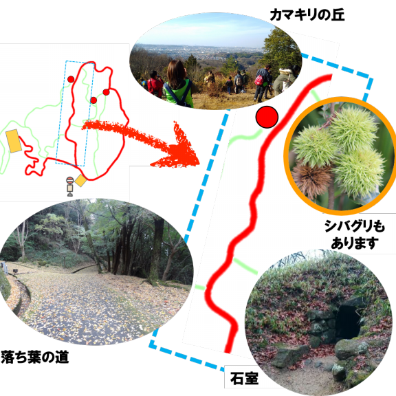 石川流域の自然観察スポット紹介 公式 石川流域生きものミュージアム 雨ふる大地の水辺保全ネットワーク