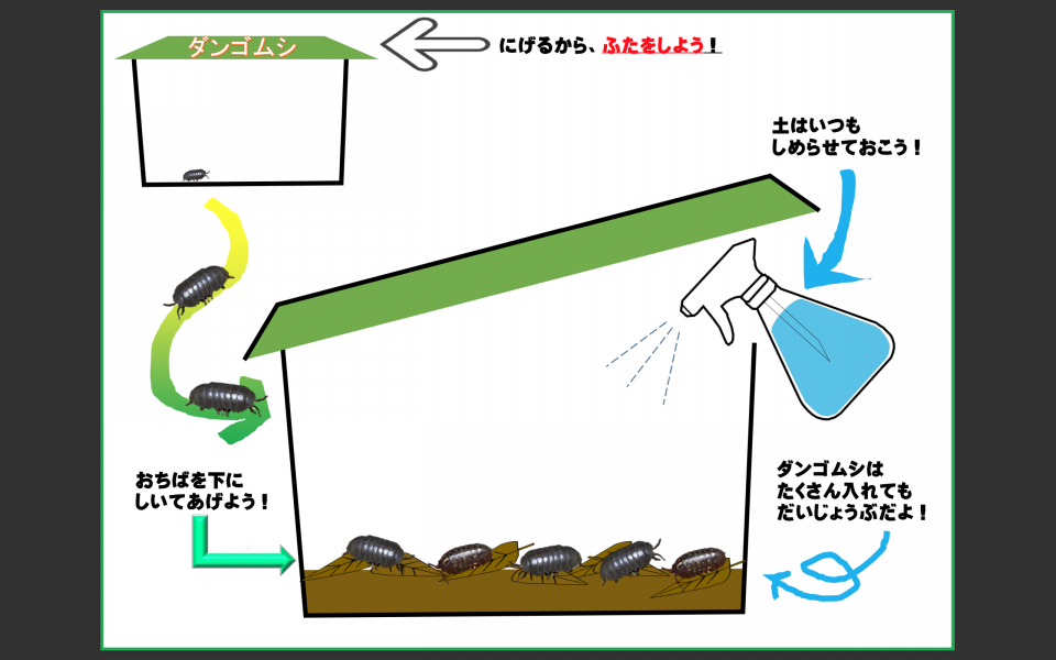 ダンゴムシ 公式 石川流域生きものミュージアム 雨ふる大地の水辺保全ネットワーク