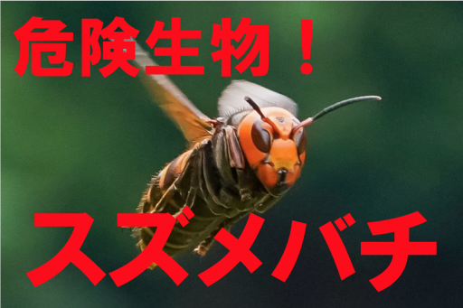 危険生物 公式 石川流域生きものミュージアム 雨ふる大地の水辺保全ネットワーク